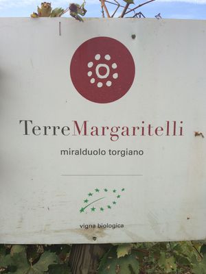 Terre Margaritelli